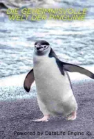 Секреты пингвинов